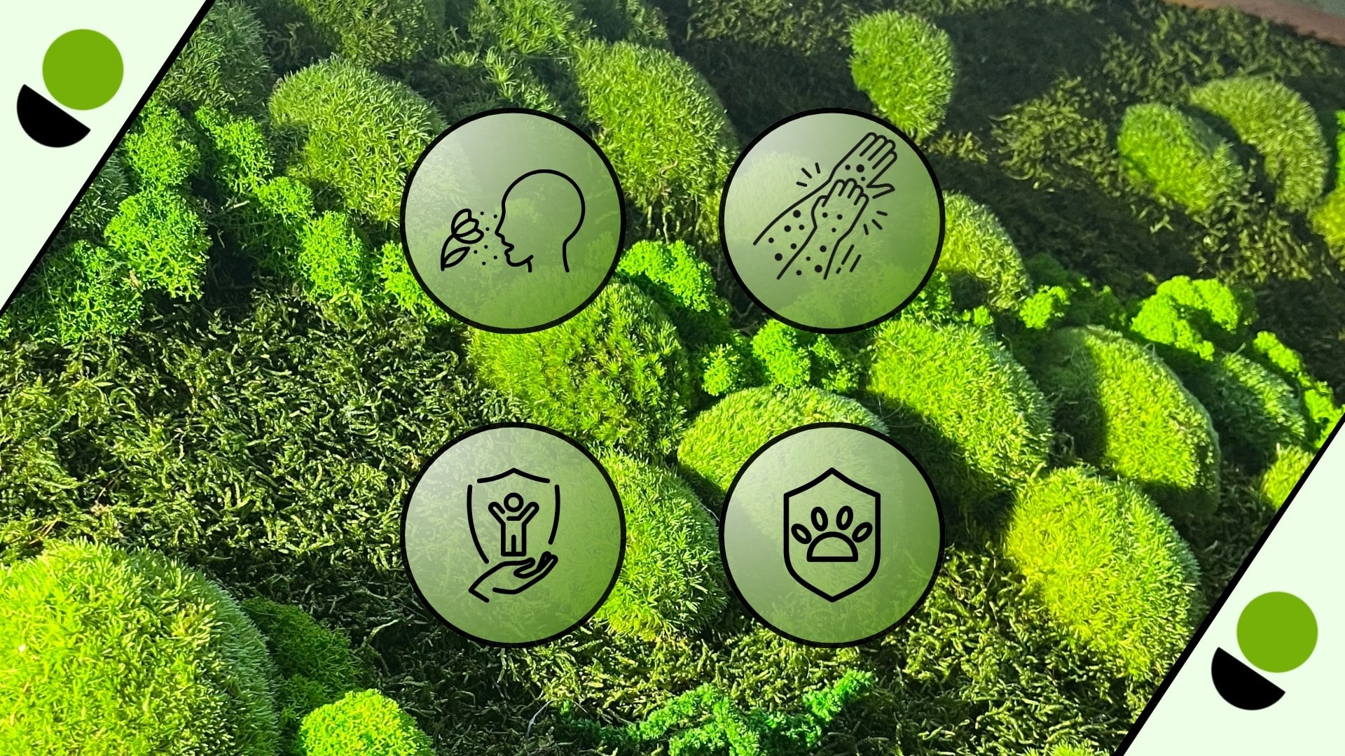 Green decorative moss with icons for safety of use.