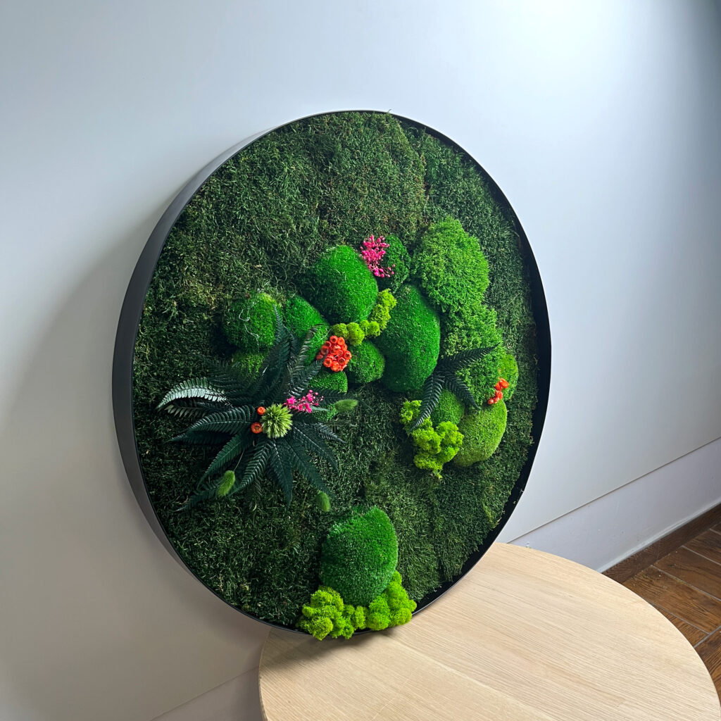 Imagen redonda de musgo y plantas estabilizadas