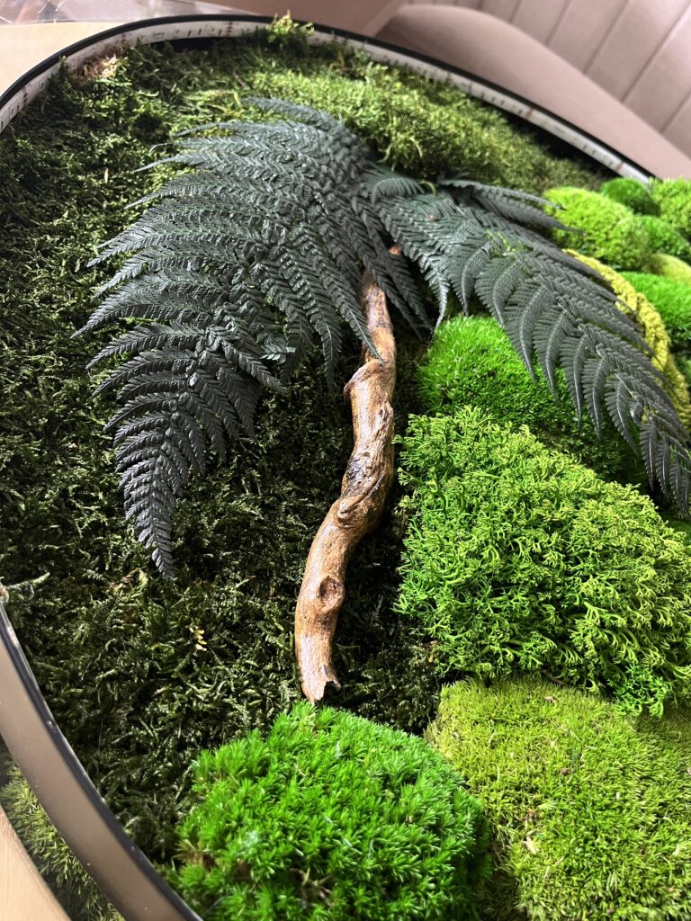 Composición de planta en un marco LED de metal