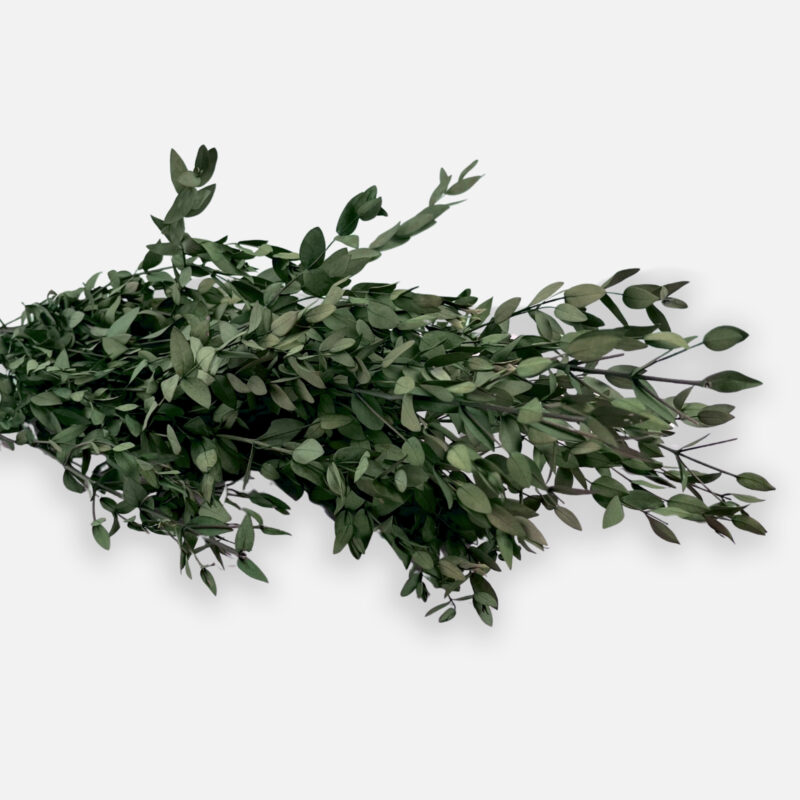 Stabilized eucalyptus