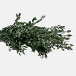 Stabilized eucalyptus