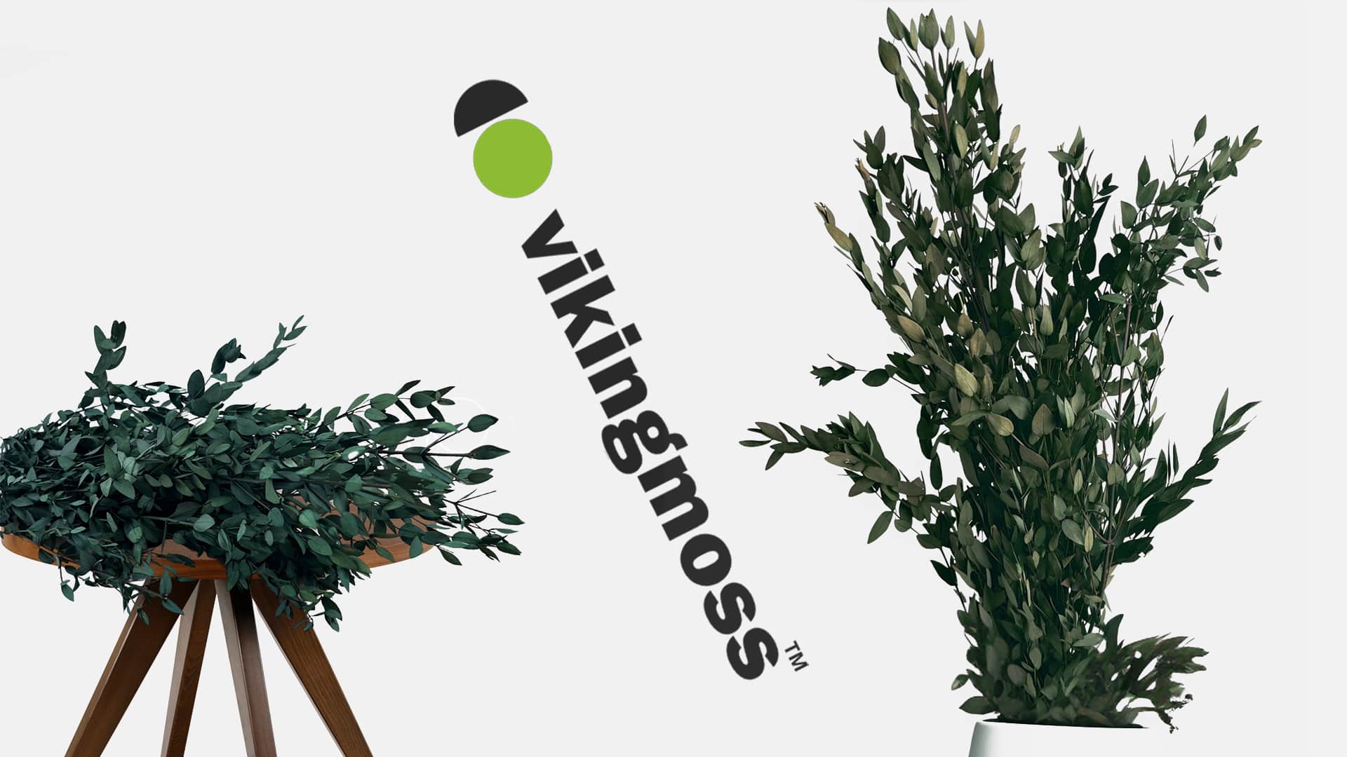 Eukaliptus stabilizowany leżący na drewnianym stoliku oraz w wazonie.