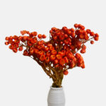 Italian blanket in a vase