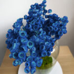 Italian blanket in blue