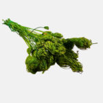 Bright green stabilized dill