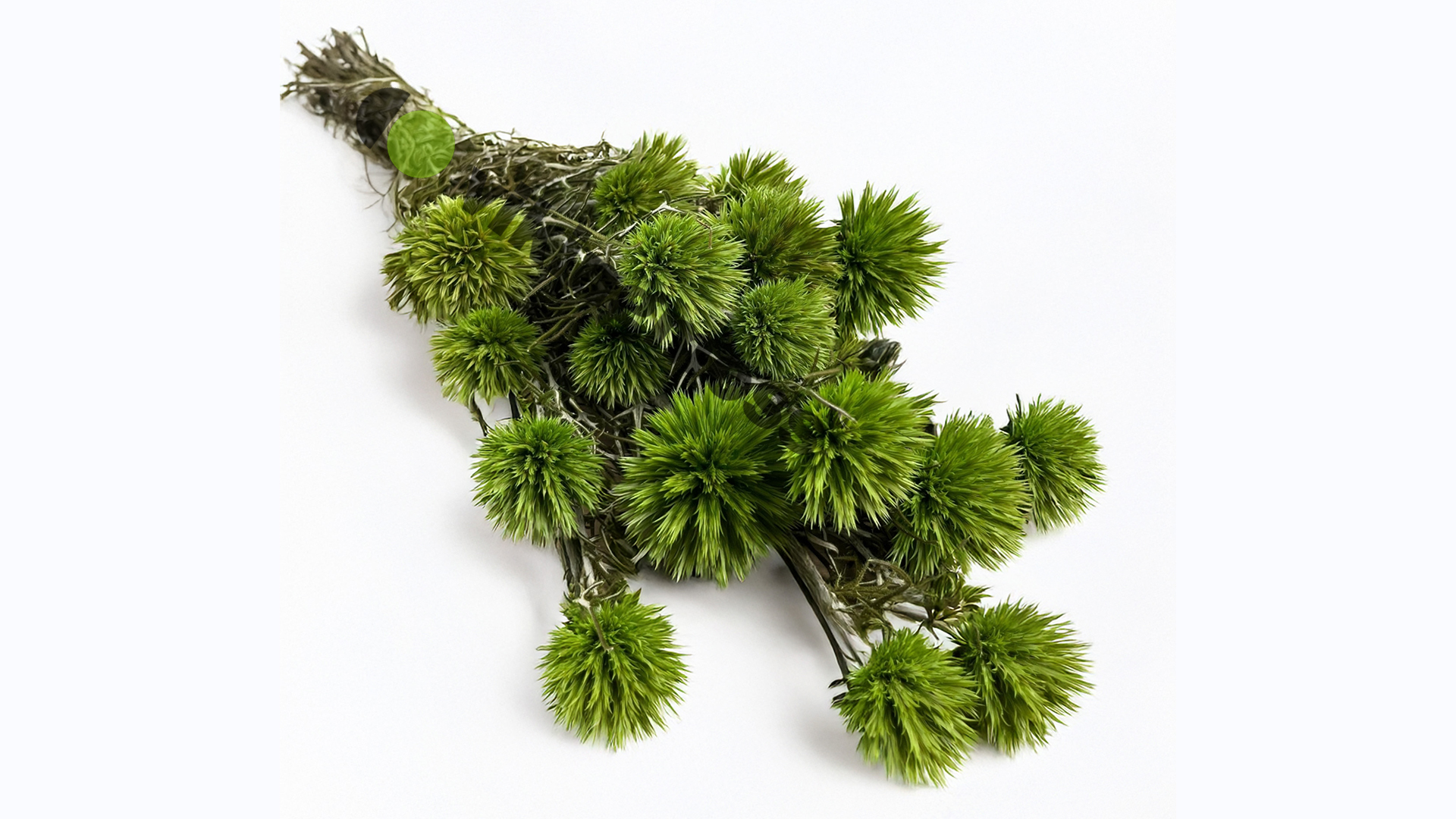 Przegorzan stabilizowany