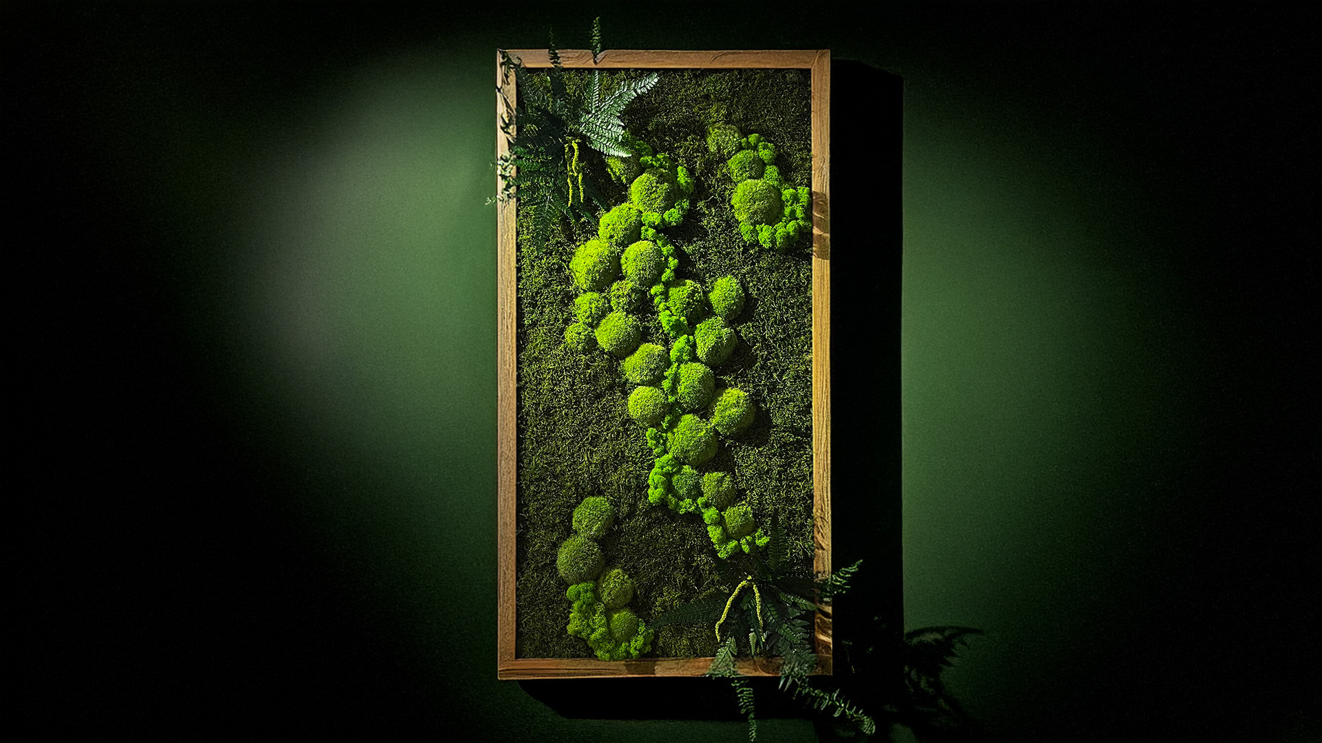 Kompozycja z mchu i roślin stabilizowanych w dębowej ramie