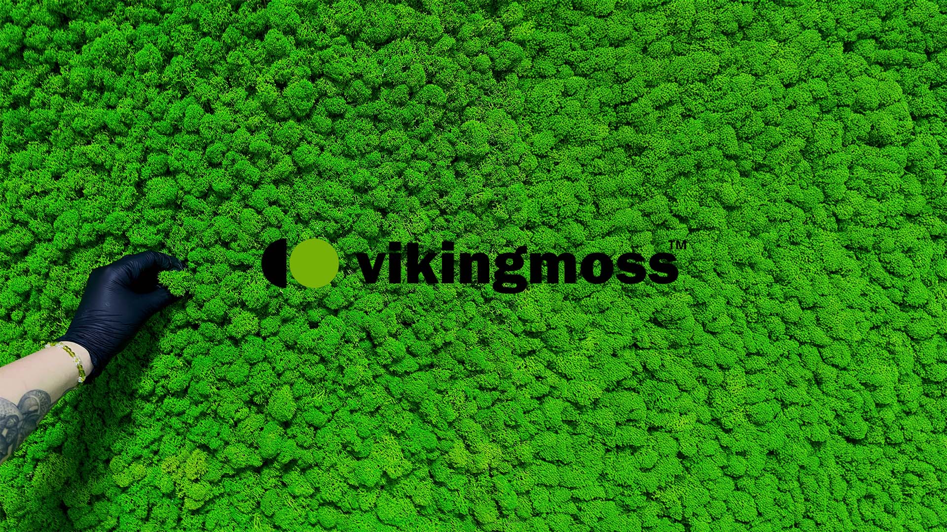 Stabilized reindeer moss