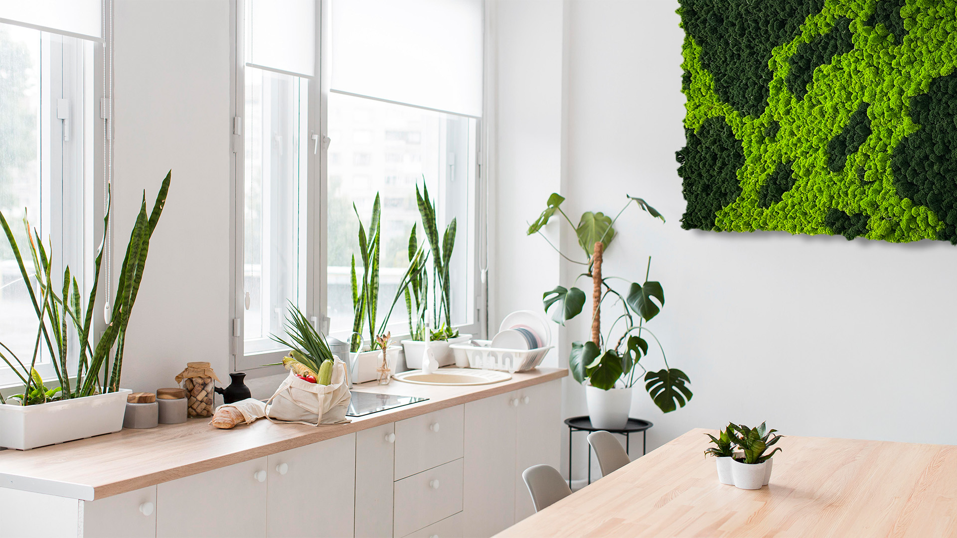 Rośliny stabilizowane do kuchni - zielony panel z mchu chrobotka