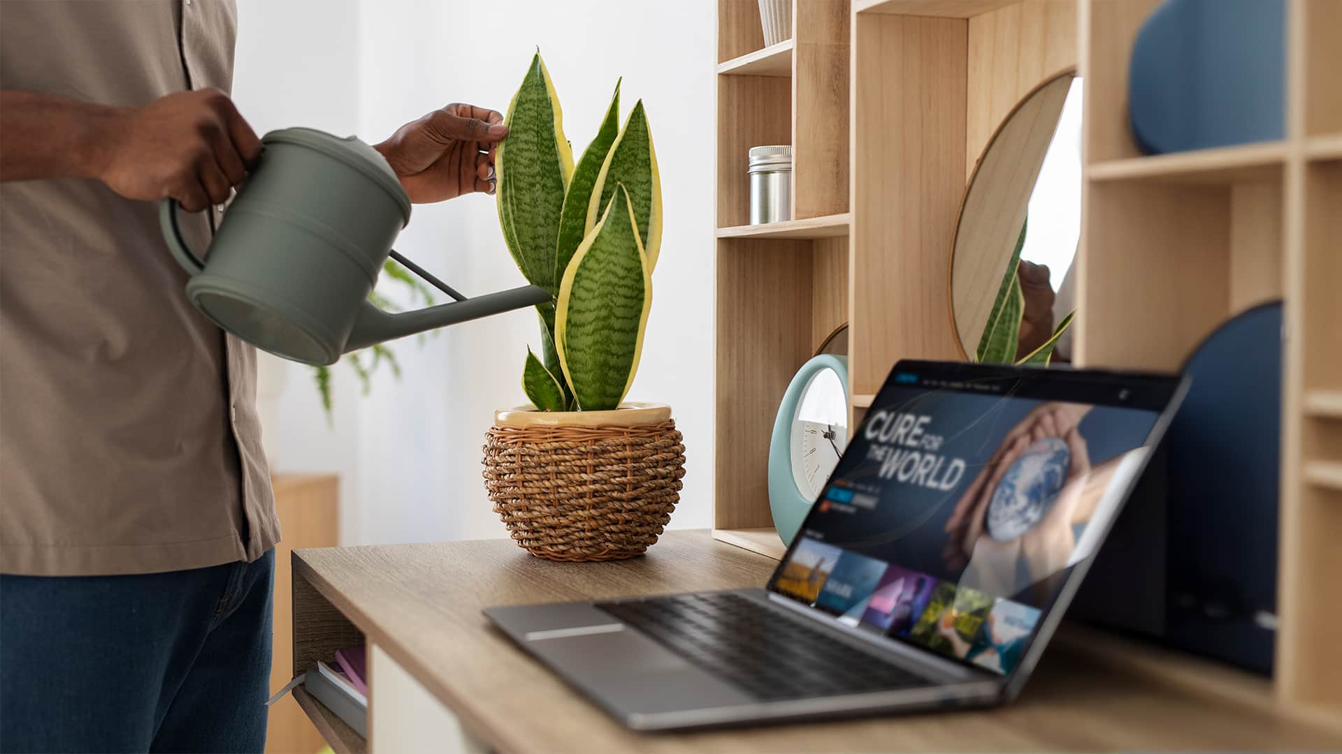 Rośliny do home office, mężczyzna podlewa kwiatka stojącego na biurku obok laptopa.